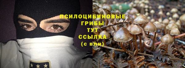 альфа пвп Приозерск