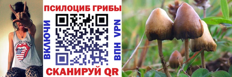 сколько стоит  Сатка  MEGA   Псилоцибиновые грибы ЛСД 